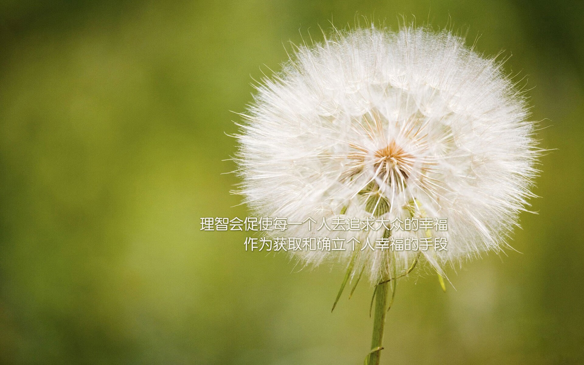 fb体育网址-“攻势狂飙！攻防转变瞬间，比赛高潮迭起”，攻防实战