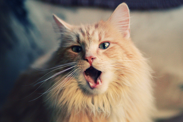 高校运动员心理调节干预策略及效果评估,如何做好运动员的心理调试