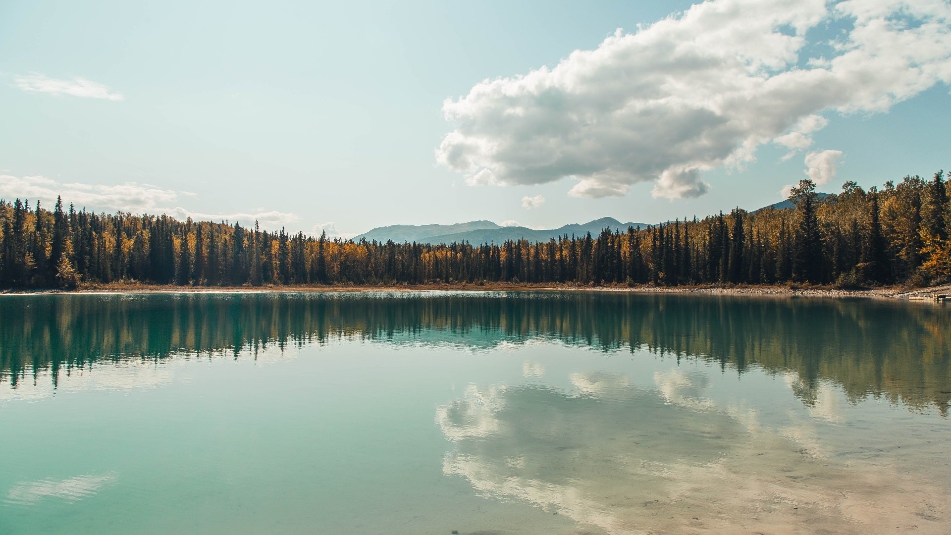 “牛仔3K亲子跑：亲子共同体验跑步乐趣”