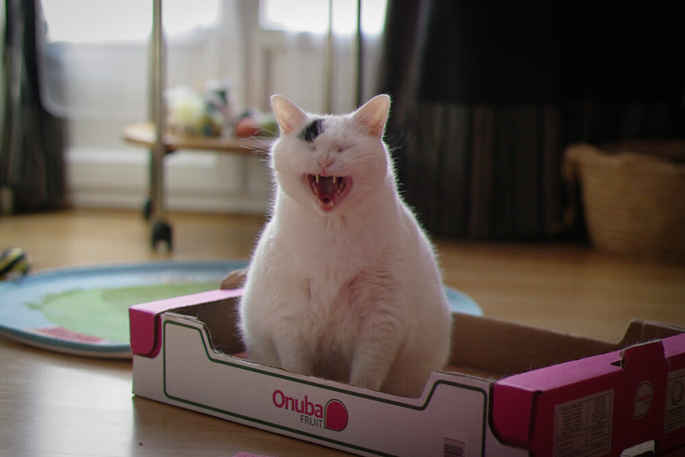 亚冠联赛中国女足平局 球迷冷静分析比赛，中国女足扳平